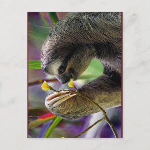 Tredimensionell Träd Sloth Vykort