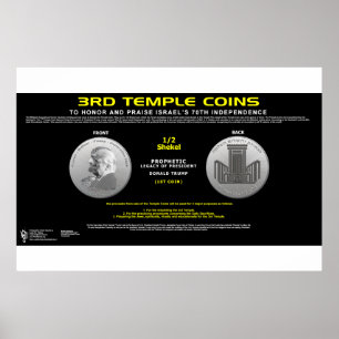 Tredje templet Coin-1 Poster