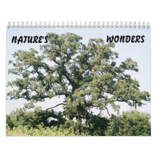 Tree-02 NATUR, UNDRAR Kalender