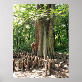 Tree and roots poster
