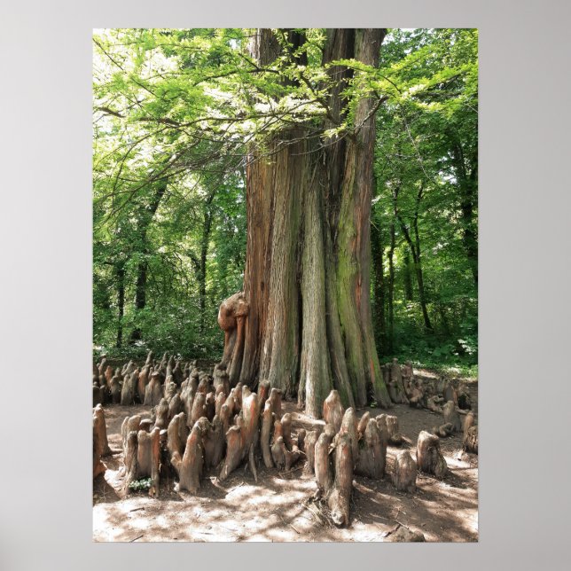 Tree and roots poster (Framsidan)