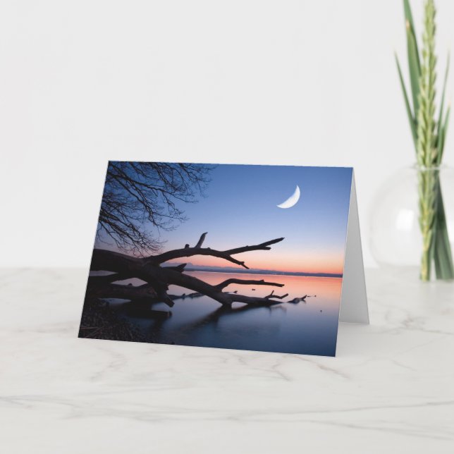 Tree at Starnberg Lake | Muensing Bavaria Germany Kort (Framsida)
