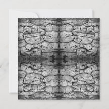 Tree Bark Black And White Photo Closeup Pattern   