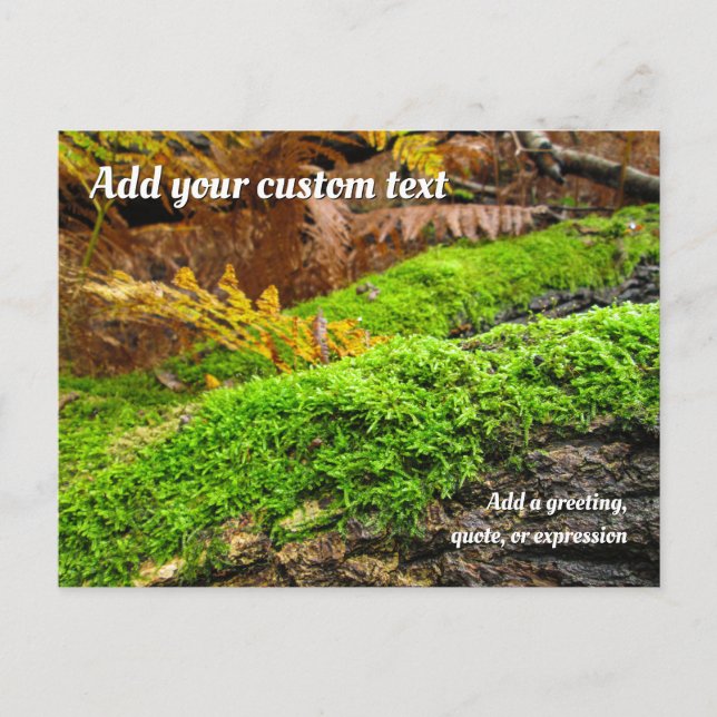 Tree Bark in Autumn Moss - Personalised Vykort (Framsida)