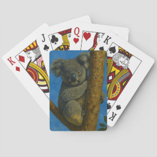 Tree hugger - Koala i Canopy Casinokort