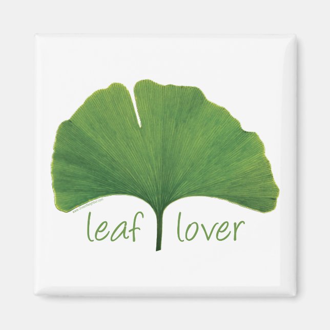 Tree hugger lövälskare - Ginkgo Magnet (Framsidan)