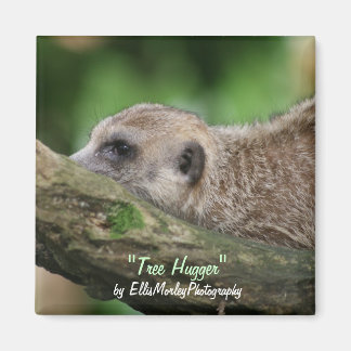 Tree hugger magnet