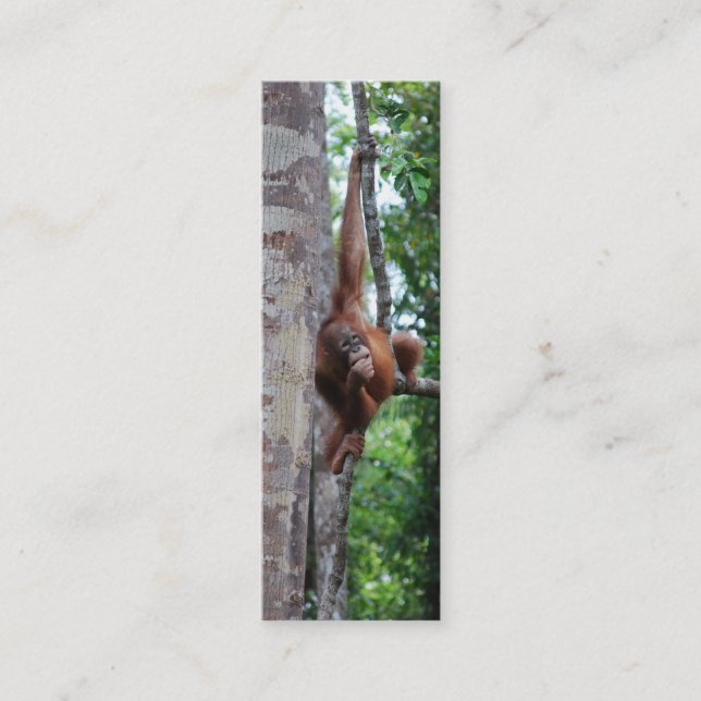 Tree hugger mini- bokmärken för djurliv mini visitkort (Framsida)