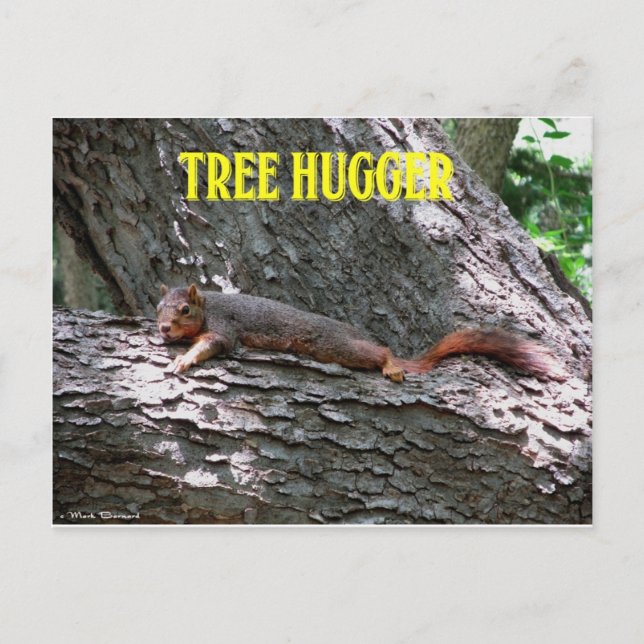 tree hugger! vykort (Framsida)