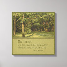 Tree hugger's CC0394 Shishkin