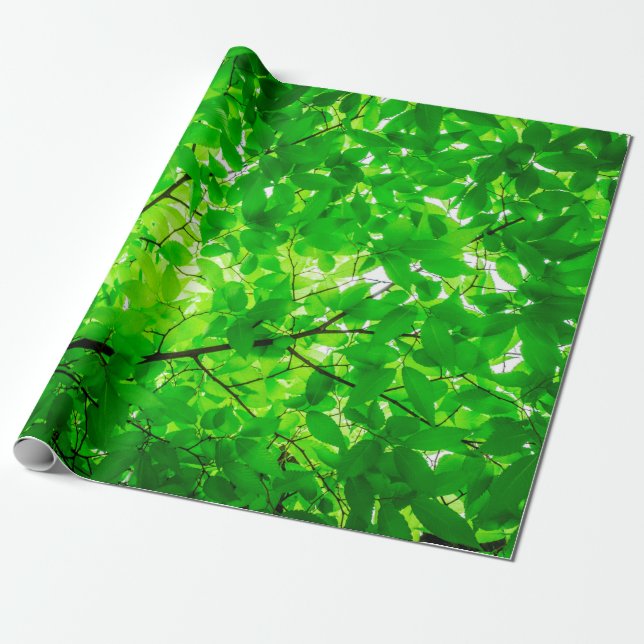 Tree leaf twig texture pattern presentpapper (Utrullad)