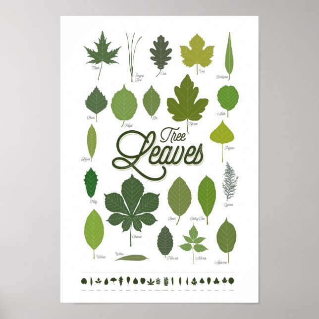 TREE LEAVES póster Poster (Framsidan)