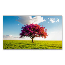tree magnetiska visitkort