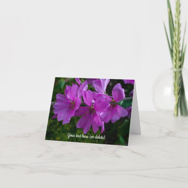 Tree Mallow Greeting card Kort (Framsida)
