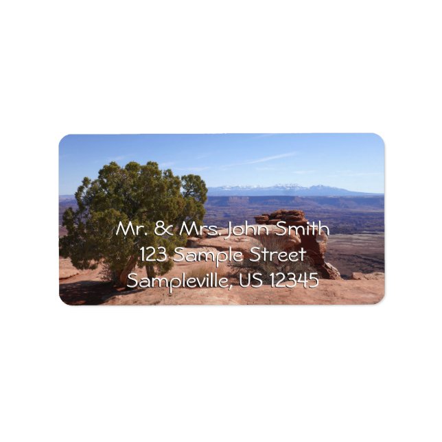 Tree Out of Red Rocks II at Canyonlands Adressetikett (Framsidan)