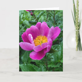 Tree Peony Blank Note Card Helgkort