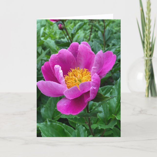 Tree Peony Blank Note Card Helgkort (Framsida)