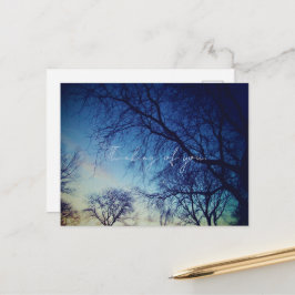 Tree Photography Vykort