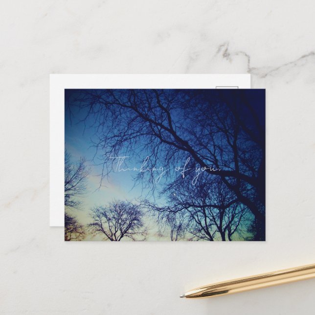 Tree Photography Vykort (Fram/Back In Situ)