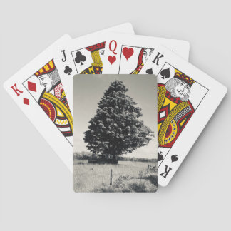 tree playing cards casinokort