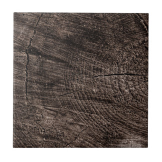 Tree Stump Kakelplatta