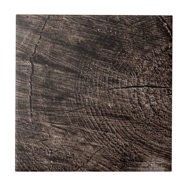 Tree Stump Kakelplatta (Framsidan)