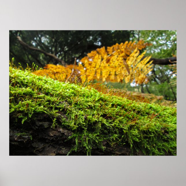Tree Trunk in Lush Moss - Personalised Poster (Framsidan)