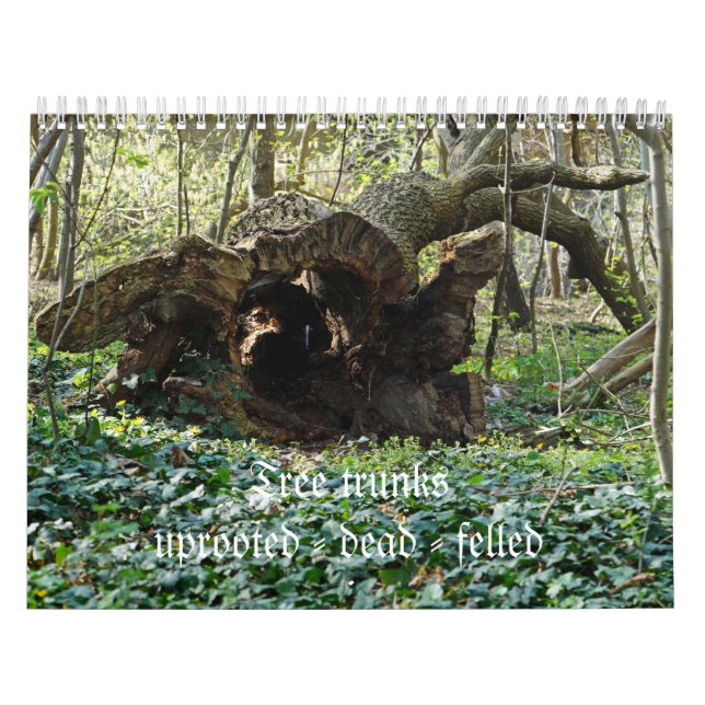 Tree trunks uprooted - dead - felled kalender (Omslag)