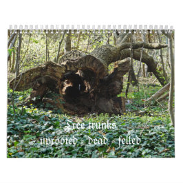 Tree trunks uprooted - dead - felled kalender