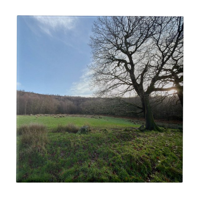 Tree view.. kakelplatta (Framsidan)