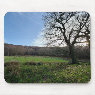 Tree view.. musmatta