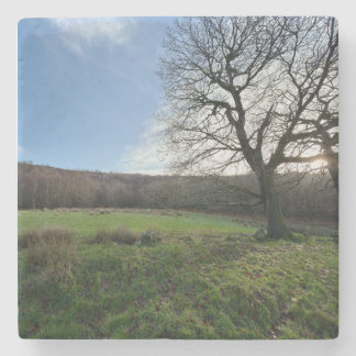 Tree view.. stenunderlägg