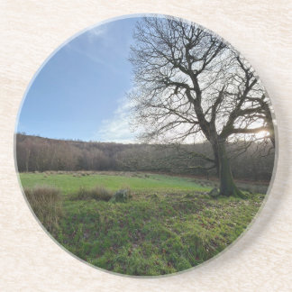 Tree view.. underlägg