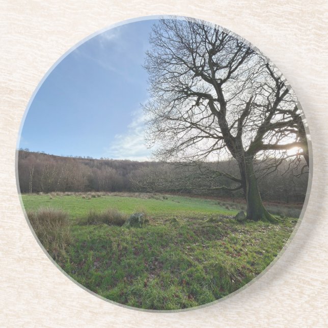 Tree view.. underlägg (Framsidan)