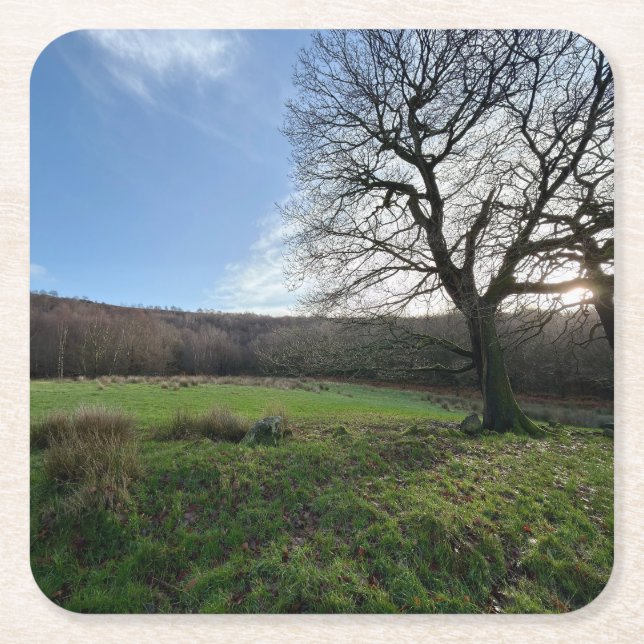 Tree view.. underlägg papper kvadrat (Framsidan)