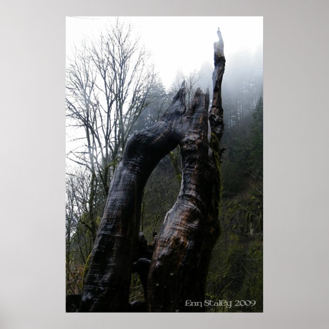 Treegina Poster (Framsidan)