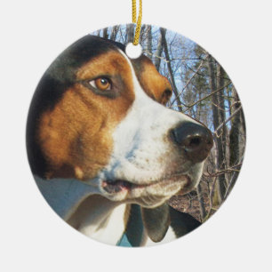 Treeing fotgängareCoonhound i skogen Julgransprydnad Keramik
