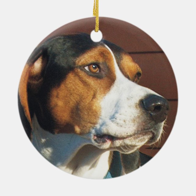 Treeing fotgängareCoonhound Julgransprydnad Keramik (Baksidan)