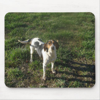 Treeing fotgängareCoonhound Mousepad Musmatta
