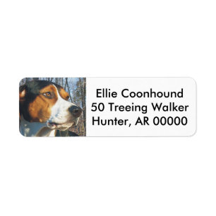 Treeing fotgängareCoonhound Returadress Etikett