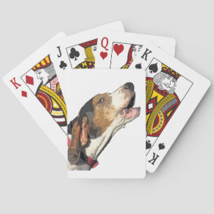 Treeing fotgängareCoonhound som leker kort Spel Kort