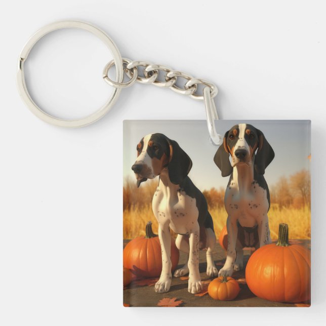 Treeing Walker Coonhound Puppy Autumn Pumpkin (Framsidan)