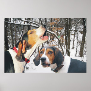 Treeing Walker Coonhound Snowy Skogen Poster