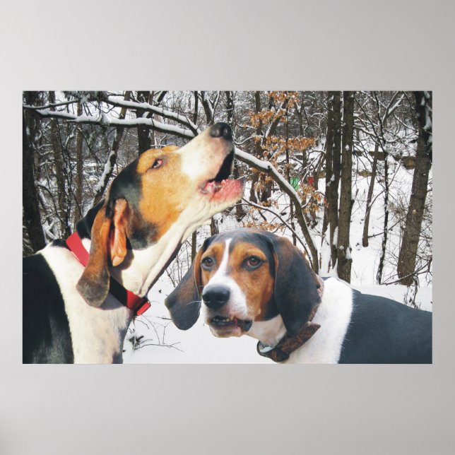Treeing Walker Coonhound Snowy Skogen Poster (Framsidan)
