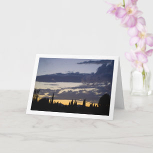 Treeline Silhouette i nattlandskap Kort