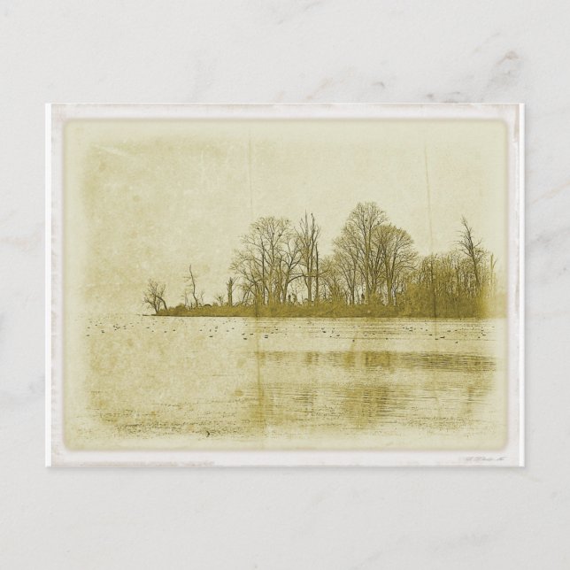 Treeline Vykort (Framsida)