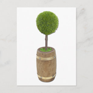 TreePlantedRainBarrel050811 Vykort