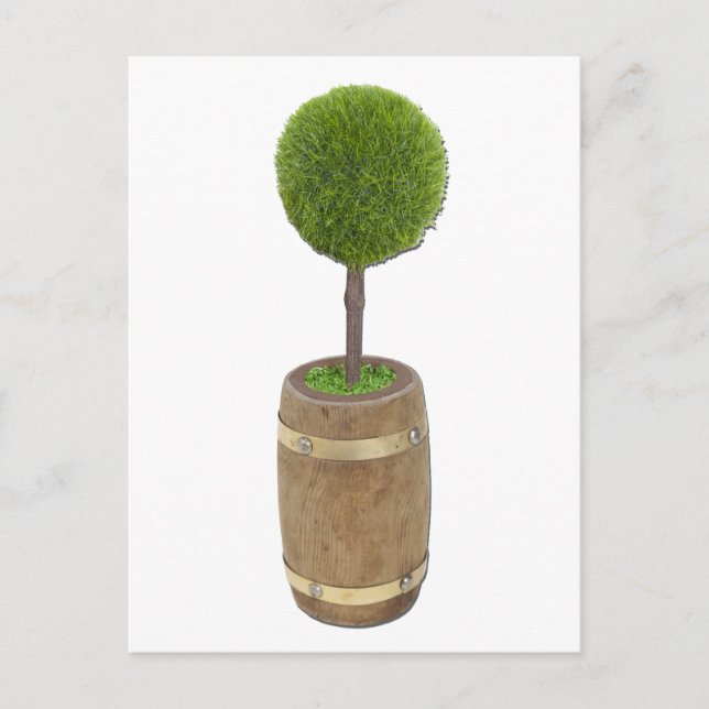 TreePlantedRainBarrel050811 Vykort (Framsida)