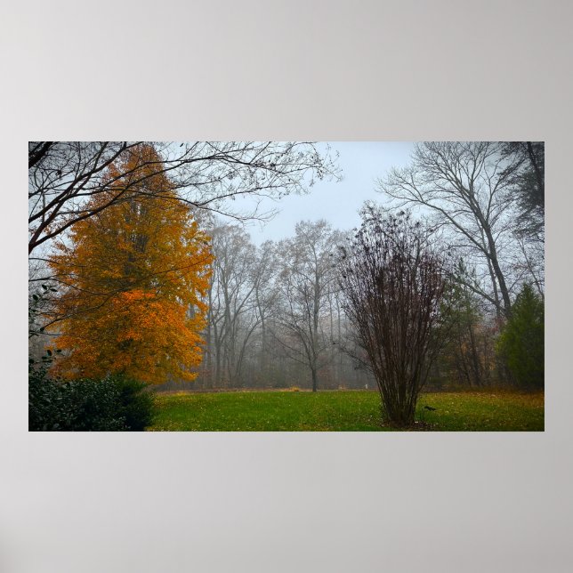 Trees & Fog,  Poster (Framsidan)