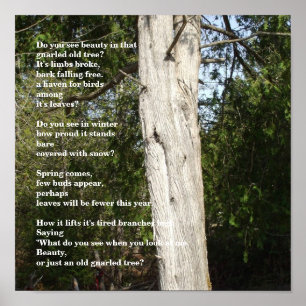 Trees for Arbor Day Poster